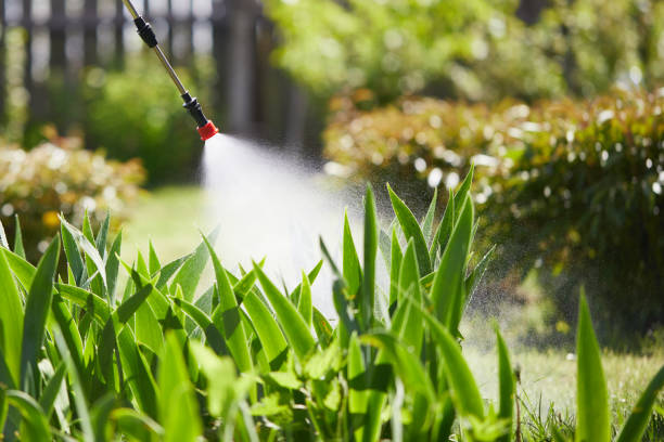 Tamper-Resistant Bait Stations for Rodents in Woodmore