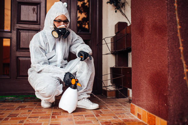 Attic and Crawl Space Rodent Treatment in Woodmore