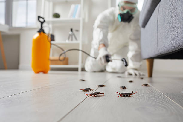 Commercial Rodent Management in Woodmore